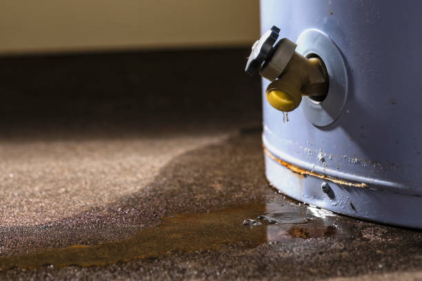 Best Basement water damage restoration  in Penn Valley, CA
