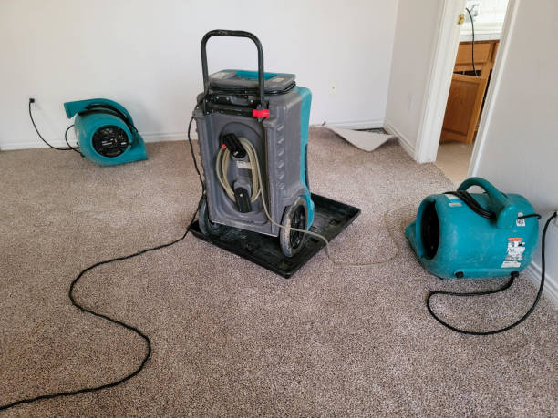 Best Sewage cleanup and water damage restoration  in Penn Valley, CA