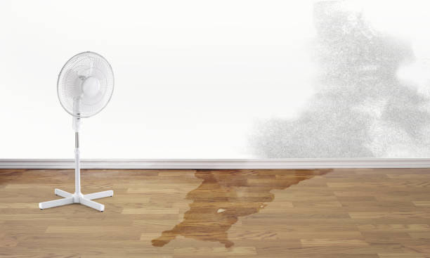 Best 24/7 water damage repair  in Penn Valley, CA