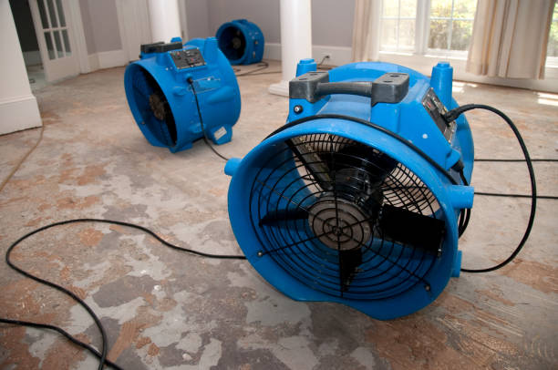 Best Ceiling water damage repair  in Penn Valley, CA