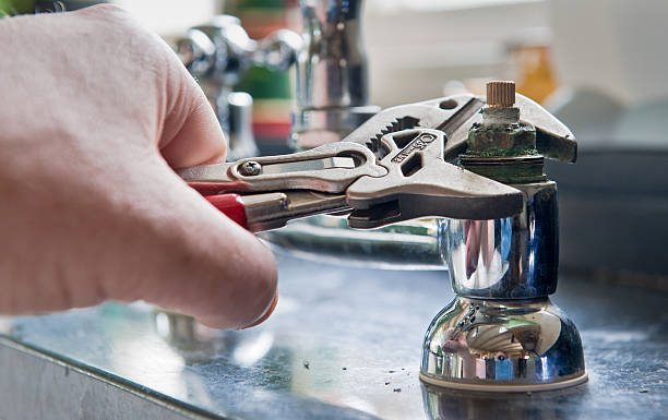 Best Professional water damage repair  in Penn Valley, CA