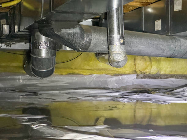Best Water damage cleanup near me  in Penn Valley, CA